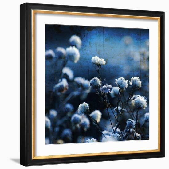 Blue Bouquet-Philippe Sainte-Laudy-Framed Photographic Print