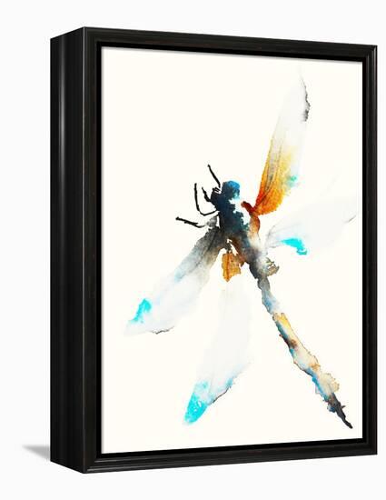 Blue & Brown Dragonfly-Karin Johannesson-Framed Stretched Canvas