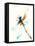 Blue & Brown Dragonfly-Karin Johannesson-Framed Stretched Canvas