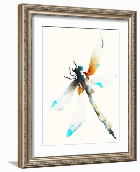 Blue & Brown Dragonfly-Karin Johannesson-Framed Art Print