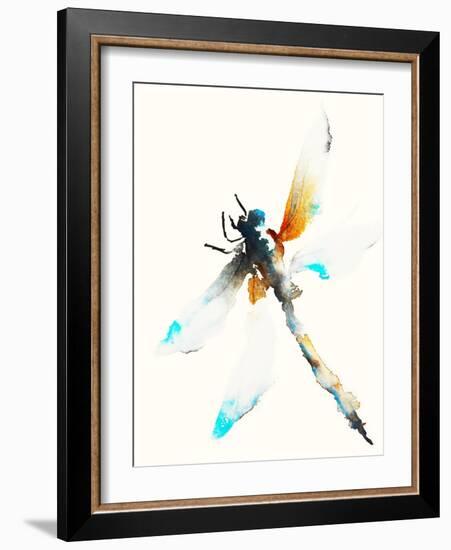 Blue & Brown Dragonfly-Karin Johannesson-Framed Art Print