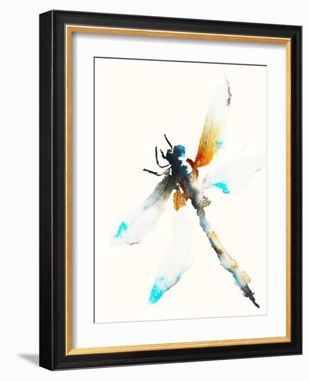 Blue & Brown Dragonfly-Karin Johannesson-Framed Art Print