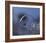 Blue Bubble Morning-Kent Mathiesen-Framed Giclee Print