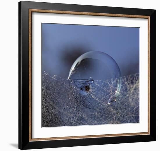 Blue Bubble Morning-Kent Mathiesen-Framed Giclee Print