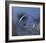 Blue Bubble Morning-Kent Mathiesen-Framed Giclee Print