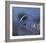 Blue Bubble Morning-Kent Mathiesen-Framed Giclee Print