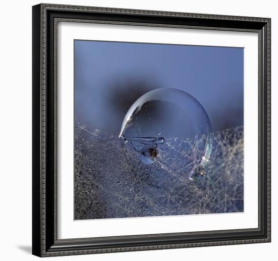 Blue Bubble Morning-Kent Mathiesen-Framed Giclee Print