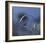 Blue Bubble Morning-Kent Mathiesen-Framed Giclee Print