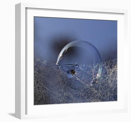 Blue Bubble Morning-Kent Mathiesen-Framed Giclee Print