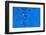 Blue Bubbles 2-Steve Gadomski-Framed Photographic Print