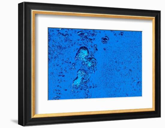 Blue Bubbles 2-Steve Gadomski-Framed Photographic Print