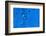 Blue Bubbles 2-Steve Gadomski-Framed Photographic Print