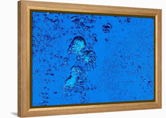 Blue Bubbles 2-Steve Gadomski-Framed Premier Image Canvas