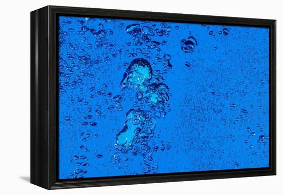 Blue Bubbles 2-Steve Gadomski-Framed Premier Image Canvas