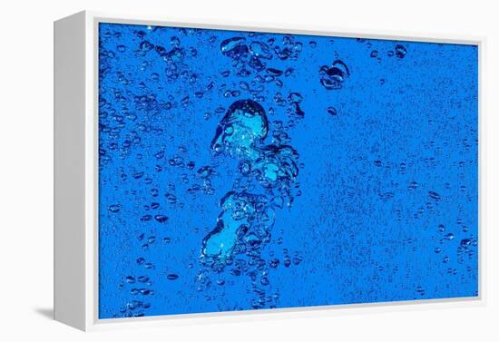 Blue Bubbles 2-Steve Gadomski-Framed Premier Image Canvas