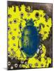 Blue Bug-Jan Weiss-Mounted Art Print