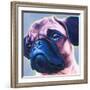 Blue Bulldog-R Berghaus-Framed Art Print
