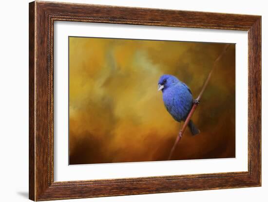 Blue Bunting in Autumn-Jai Johnson-Framed Giclee Print