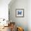 Blue Butterfly I-Alan Hopfensperger-Framed Art Print displayed on a wall