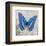 Blue Butterfly I-Alan Hopfensperger-Framed Art Print