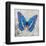 Blue Butterfly I-Alan Hopfensperger-Framed Art Print