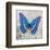 Blue Butterfly I-Alan Hopfensperger-Framed Art Print