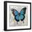 Blue Butterfly II-Alan Hopfensperger-Framed Art Print