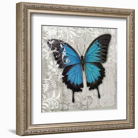 Blue Butterfly II-Alan Hopfensperger-Framed Art Print