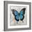 Blue Butterfly II-Alan Hopfensperger-Framed Art Print