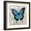 Blue Butterfly II-Alan Hopfensperger-Framed Art Print