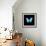 Blue Butterfly on Black-Tom Quartermaine-Framed Giclee Print displayed on a wall
