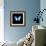 Blue Butterfly on Black-Tom Quartermaine-Framed Giclee Print displayed on a wall