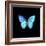 Blue Butterfly on Black-Tom Quartermaine-Framed Giclee Print