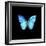 Blue Butterfly on Black-Tom Quartermaine-Framed Giclee Print