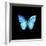 Blue Butterfly on Black-Tom Quartermaine-Framed Giclee Print