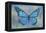 Blue Butterfly Watercolor-Cora Niele-Framed Premier Image Canvas