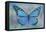 Blue Butterfly Watercolor-Cora Niele-Framed Premier Image Canvas