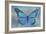 Blue Butterfly Watercolor-Cora Niele-Framed Giclee Print