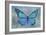 Blue Butterfly Watercolor-Cora Niele-Framed Giclee Print