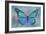 Blue Butterfly Watercolor-Cora Niele-Framed Giclee Print