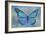 Blue Butterfly Watercolor-Cora Niele-Framed Giclee Print