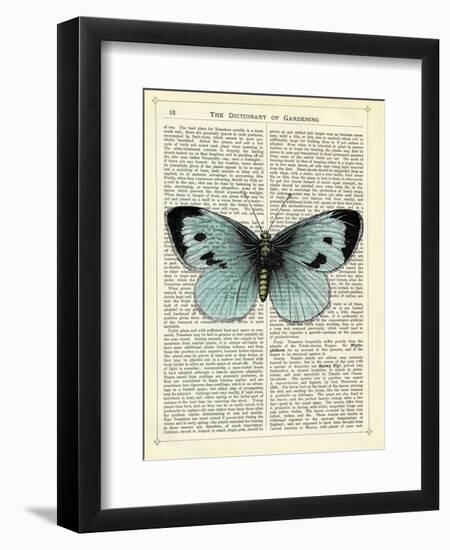 Blue Butterfly-Marion Mcconaghie-Framed Art Print