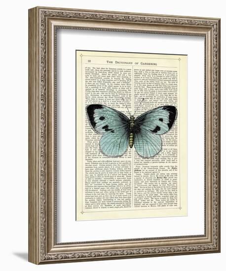 Blue Butterfly-Marion Mcconaghie-Framed Art Print