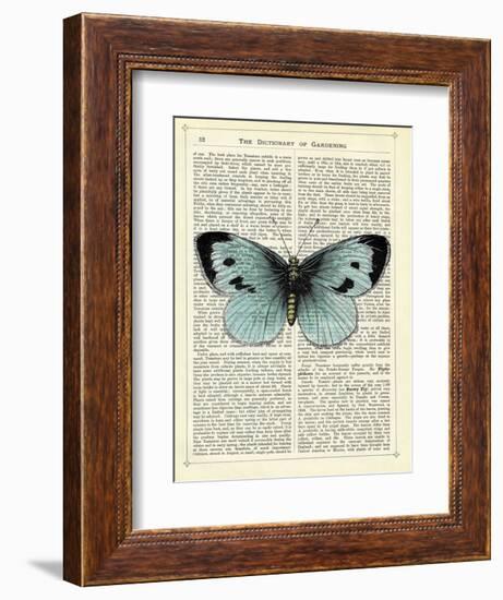 Blue Butterfly-Marion Mcconaghie-Framed Art Print