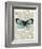 Blue Butterfly-Marion Mcconaghie-Framed Art Print