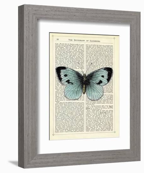 Blue Butterfly-Marion Mcconaghie-Framed Art Print