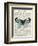 Blue Butterfly-Marion Mcconaghie-Framed Art Print