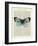 Blue Butterfly-Marion Mcconaghie-Framed Art Print