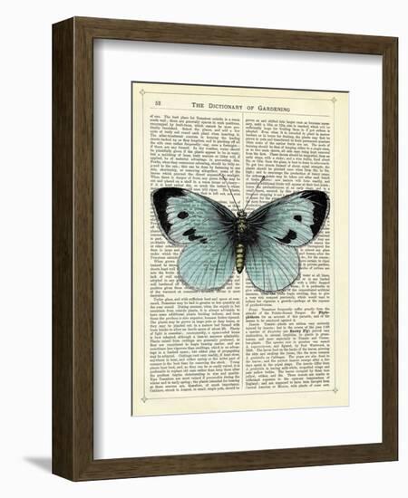 Blue Butterfly-Marion Mcconaghie-Framed Art Print