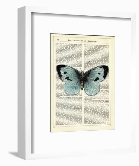 Blue Butterfly-Marion Mcconaghie-Framed Art Print